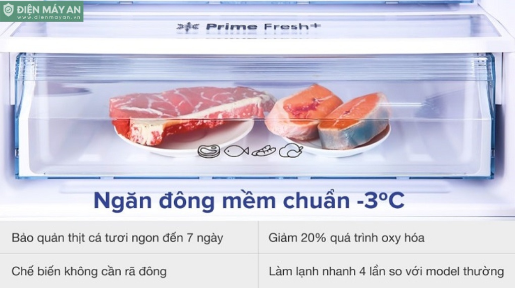Có nên mua tủ lạnh có ngăn đông mềm không? Ưu nhược điểm & Lời khuyên từ chuyên gia